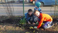 Die Grundschule Hattenhofen verschönert ihr Schulgelände