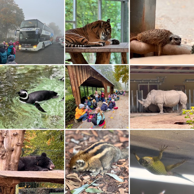 Zoo