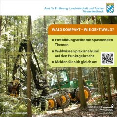 Wald kompakt